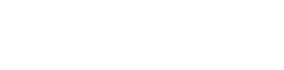 FlyTravio
