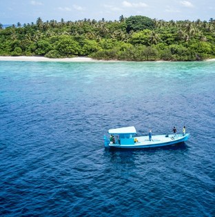 Island day trip