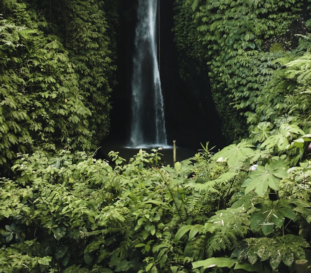 Waterfalls in northern Bali